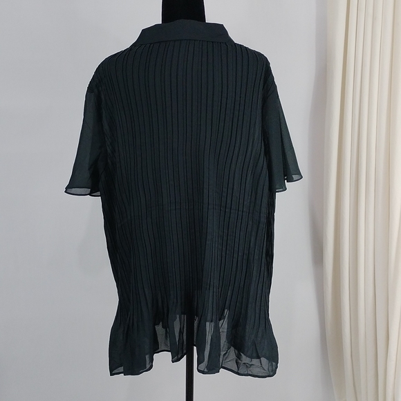 Only Necessities Sheer Pleated Button Top - Picture 8 of 9